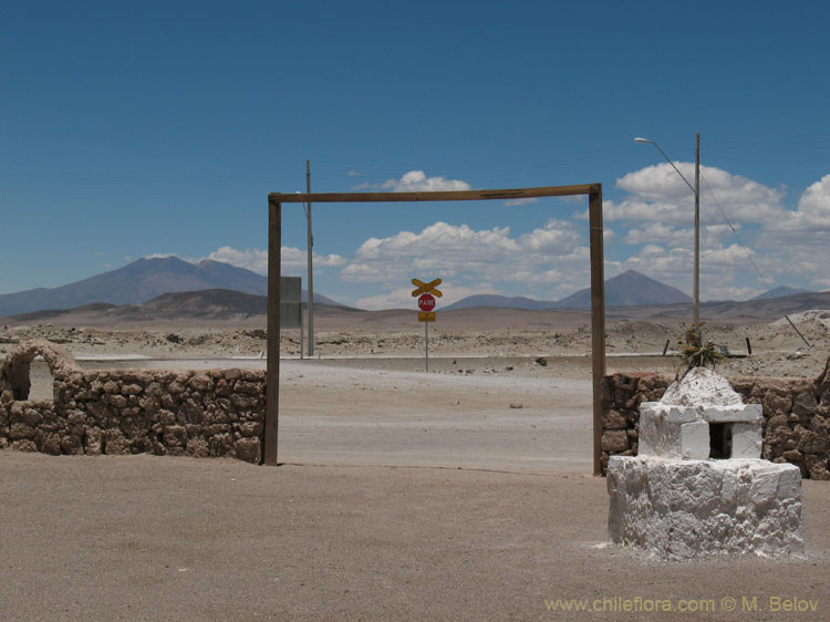 An image of Ollagüe with Road, Railroad, and a Gate.