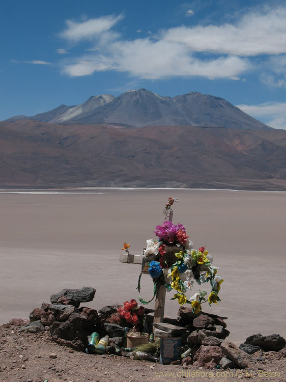 Someone stayed here for ever:Animitas - Dwelling of the Dead: These are put up where someone lost his life, usually in a car accident.