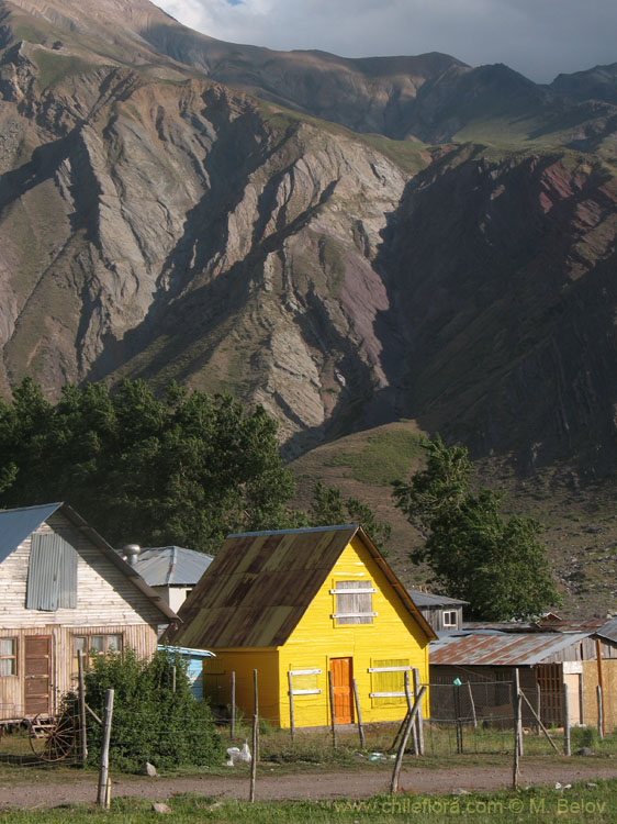 Yellows:Houses in Termas del Flaco, the place famous for dinosaur prints