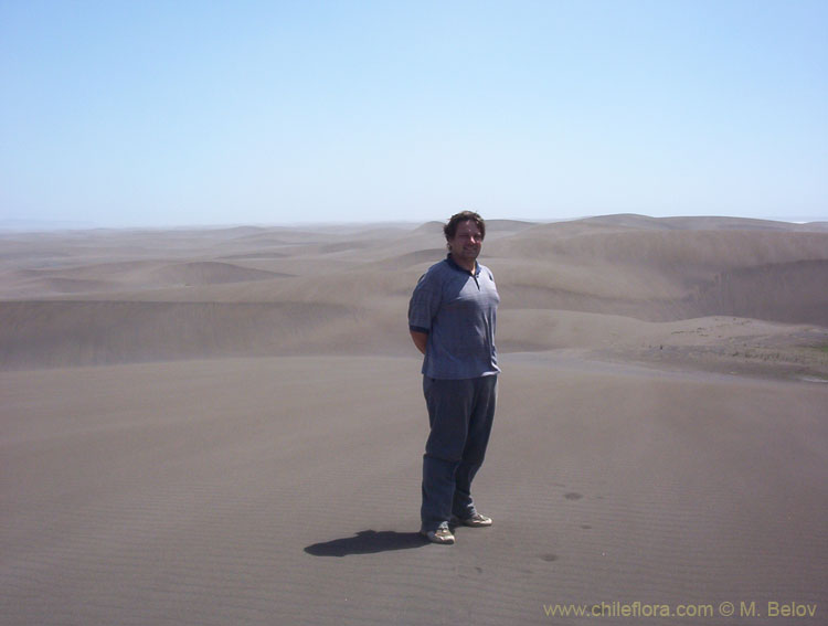 Timeless Dunes of Putu:Seaside