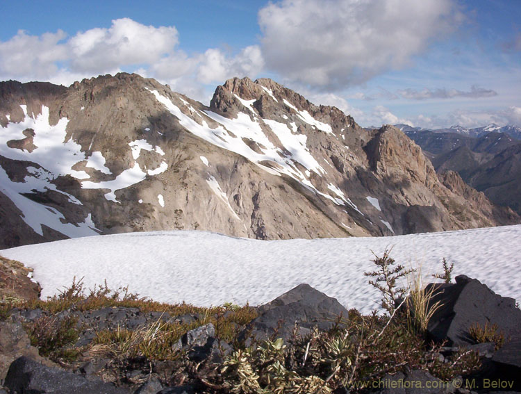 A view of a steep, rocky mountain in the background with a snowfield, Radal Siete Tasas National Park.