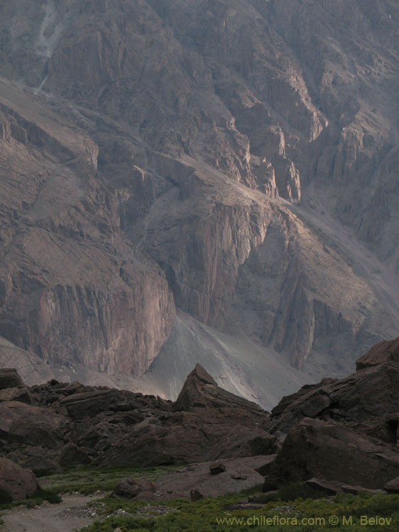 An image of Rocky Wall near Baños Morales.