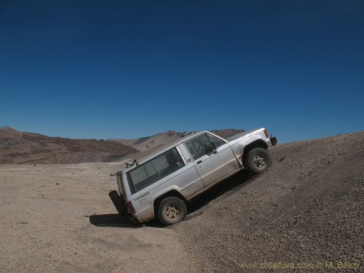 Somewhere above Laguna Maule:I do not like horizontal positions.