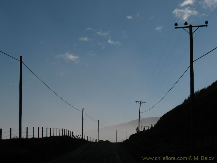 An image of poles and fences on the Pacific coast near Duao.