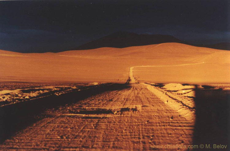 An image of a road which goes from Panamericana Highway to Salar de Pajonales at sunset, similar to moonscape,  Chile.
