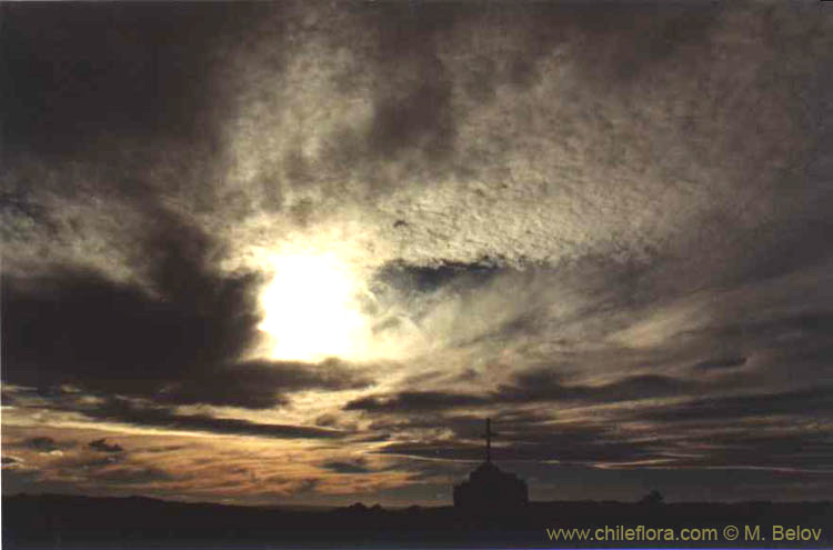 An image of a grave in the Atacama desert with dark clouds in the sky, Chile.