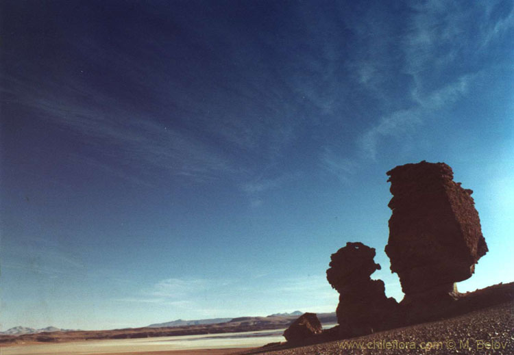 An image of huge rocks on dark blue sky in the Salar de Tara, Chile.