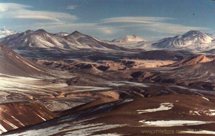 A view of the mountains Ojos de Salado and Cerro Tres Cruces, taken from an altitude of about 5000 m, close to Salar de Pedernales, Chile.