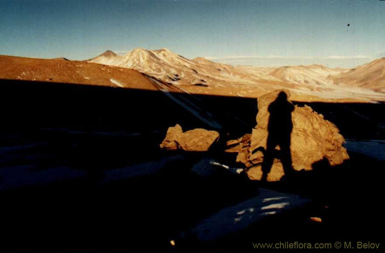 An image of a shadow of a person on a rock with mountain landscape behind, taken near the Salar de Pedernales at an altitude of 5000 m.