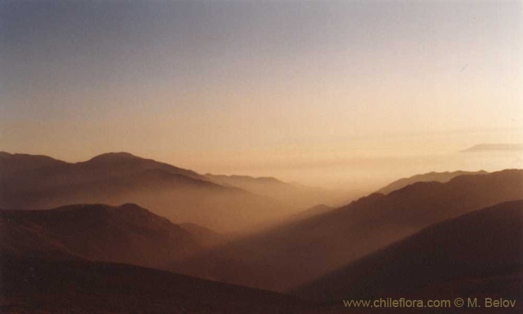 An image of Santiago covered by smog, as seen from Farellones.