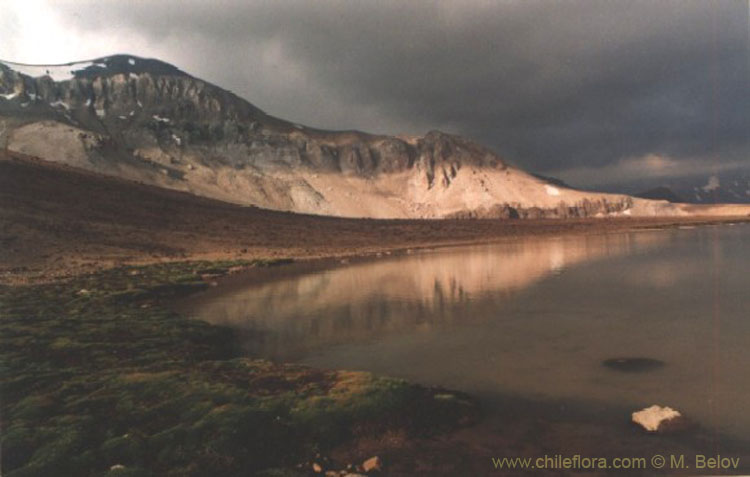 An image of San Franscisco Lake at La Parva (close to False La Parva peak) with clouds.