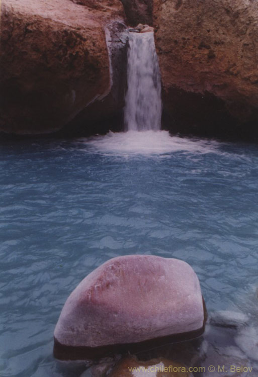 An image of a small waterfall with a stone in the foreground, in the Yerba Loca valley, Chile.