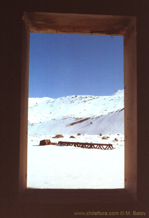 An image of a wooden window frame through which an iron bridge and snow-covered mountains can be seen, in the vicinity of Baños Morales and Baños de la Colina.