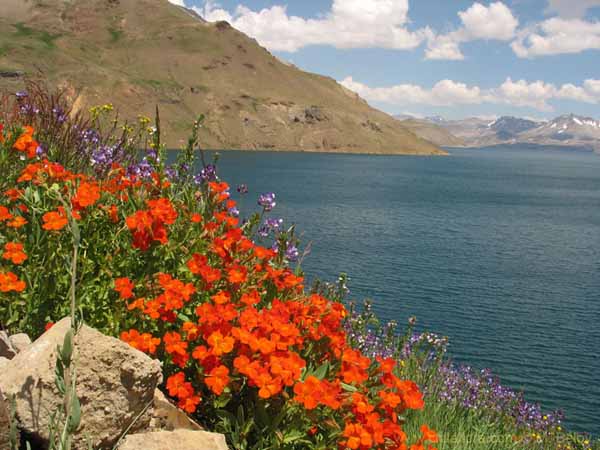 Imagen de paisaje chileno