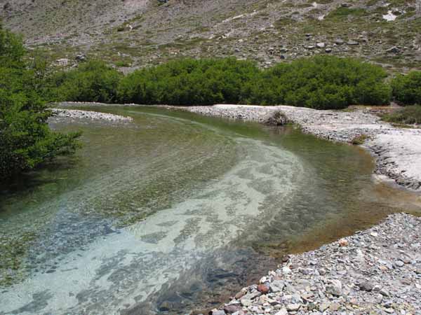 Bild von chilenischen Landschaften