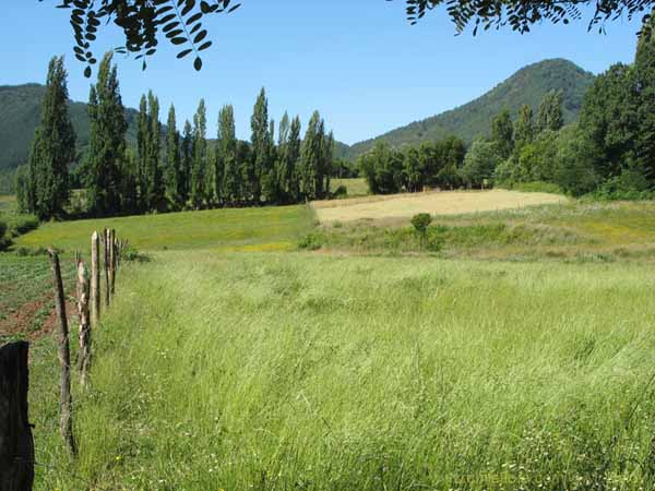 Image of a Chilean landscape