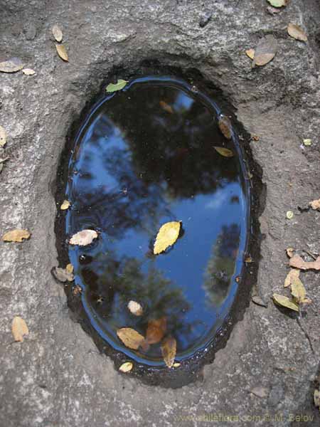 Bild von chilenischen Landschaften