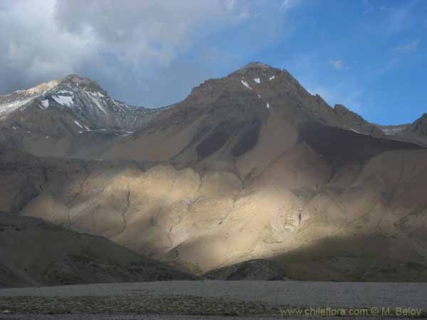 Image of a Chilean landscape