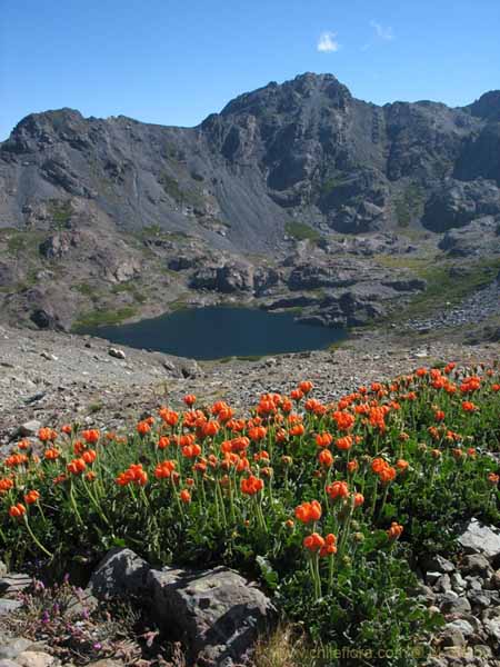 Image of a Chilean landscape