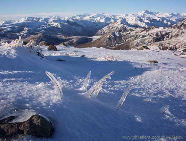 Image of a Chilean landscape