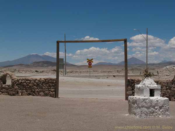 Image of a Chilean landscape