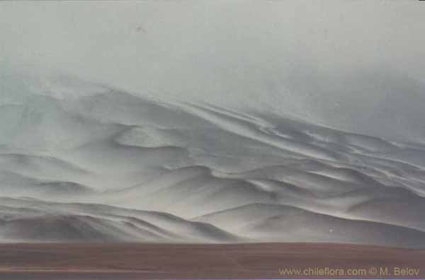 チリの景色の任意写真