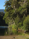 An image of a Lake at Conguillo National Park.