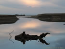 An image of a Predawn Shore Scenery on the Pacific Coast.