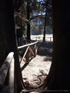 A photo of shadowy place, big trees, at Bride's Veil, Radal Siete Tasas National Park.