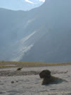 Image of volcanic ash desert, Mondaca Trail, Chile.