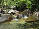 An image of a Brook at Vilches