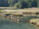 An image of water property fenced off with nets, near Lota, Chile.