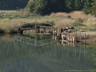 An image of a small wooden bridge.