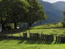 Image of a wooden fence and green lawn near Coaripe.