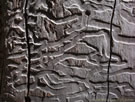 Close-up photo of a tree trunk eaten by insects, Vilches, Chile.