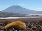 Volcanoes and Cacti:with Salt Lakes in-between