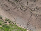 This Time They are Real:Prints of Dinosaurs at Termas del Flaco.