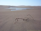 An image of a dried branch protruding from sand, Putu dunes, Chile.