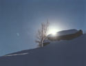 Blues:  An image of a house covered by snow on a slope and a barren tree, on a sunny winter day, Farellones, Chile.