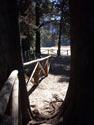 Under the Shadows:  A photo of shadowy place, big trees, at Bride's Veil, Radal Siete Tasas National Park.