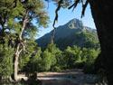 Morning:  A photo of a wood clearing with a mountain in the background, Radal Siete Tasas, Chile.