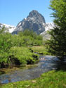 Chilean Alps:  A view of green foreground with a tree and a brook and mountain behind, Radal Siete Tasas National Park.