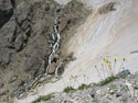 Waterfall:  A view of a small brook with waterfalls and yellow flowers, Mondaca Trail, Radal Siete Tasas National Park.