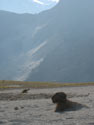 Battle for Survival:  Image of volcanic ash desert, Mondaca Trail, Chile.
