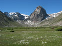 Spring:  A view of a green field and steep mountain, Radal Siete Tasas National Park.