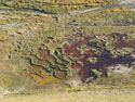 Bog:  Image of bog. 