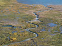 Windings of the Vanishing Snow:  Image of a small, winding river flowing into the Laguna Maule, Chile.