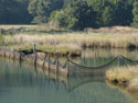 Keep out of my property!:  An image of water property fenced off with nets, near Lota, Chile.