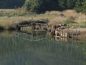 Bridge:  An image of a small wooden bridge. 