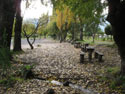 Image of wooden benches on shore of  Calafquen lake.